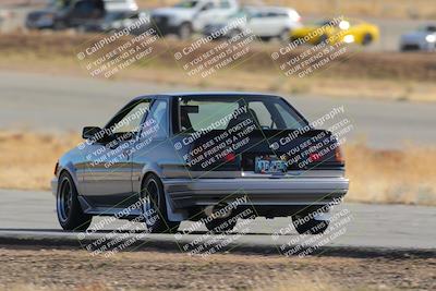 media/Feb-22-2025-Team Topak Racing (Sat) [[cb57a51a40]]/86 Party Brigade/Turns 2 and 4/